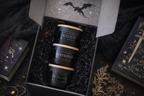 Book Boyfriend Minis